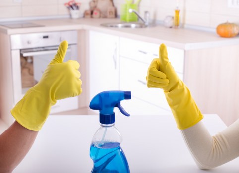 Pentonville Carpet Cleaners team applying safe and insured cleaning practices