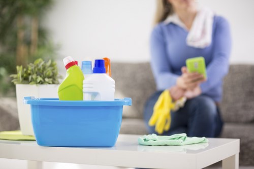 Upholstery cleaning treatment removing stains from a fabric sofa