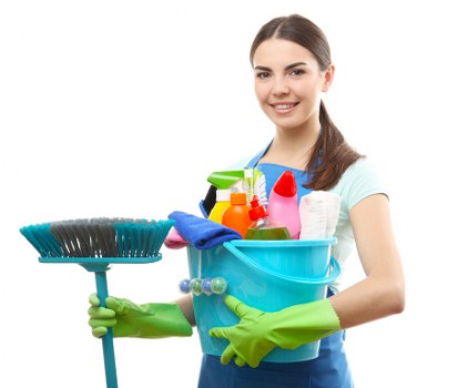 Reviewing a carpet cleaning concern in detail