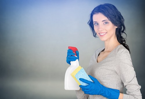 Cleaner assessing risks and securing the work area